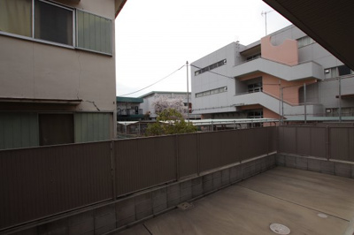 【展望】 | クリサンテーモ