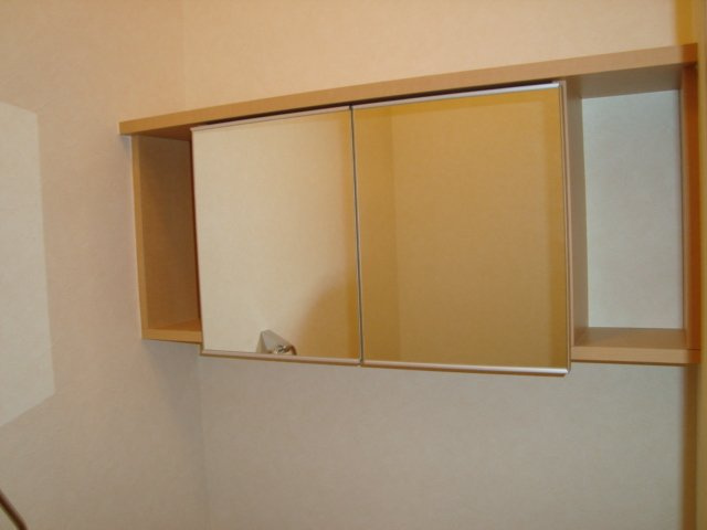 FLORAISON（フロレゾン）の収納|鏡付き収納