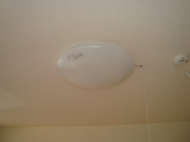 FLORAISON（フロレゾン）のその他|照明