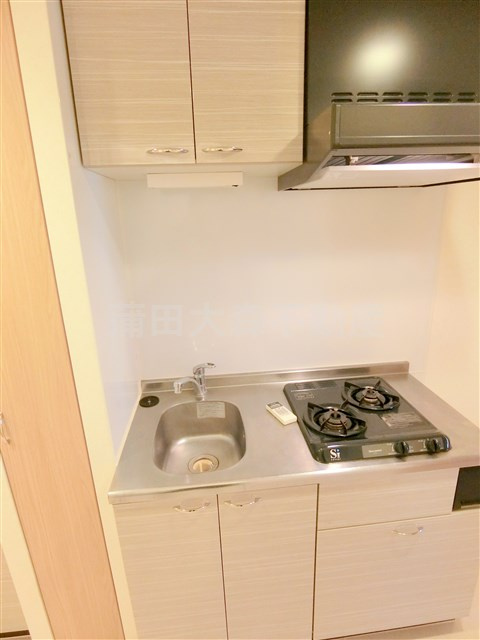 ルーブル多摩川南六郷のキッチン|2口ガスシステムキッチン　