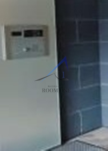 スカイコート品川パークサイドⅡのその他共用部分|オートロックです。