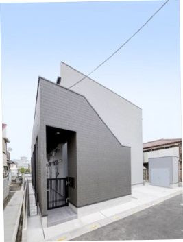 Oikos蕨(オイコスワラビ)