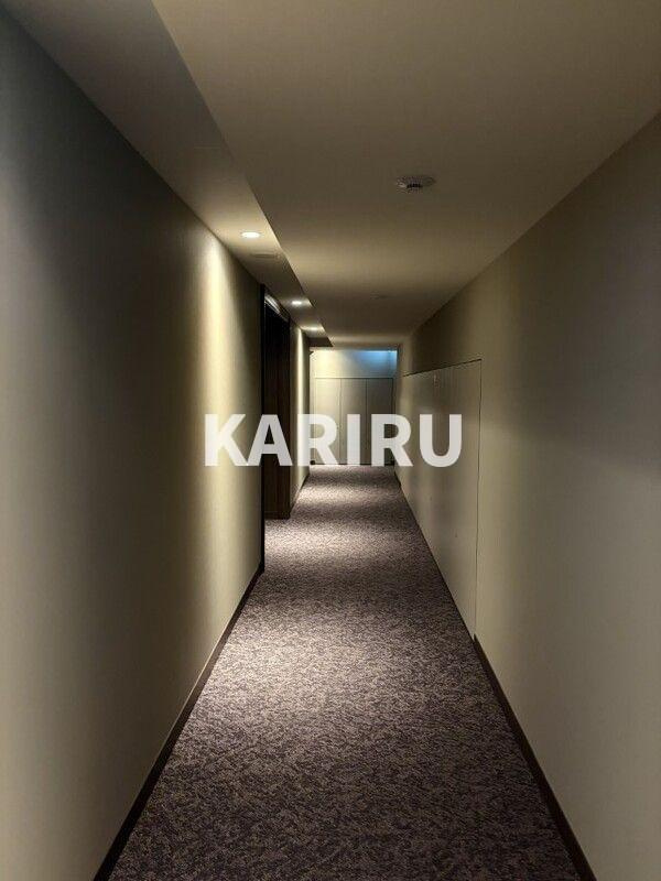 グラングリーン大阪　ＴＨＥ　ＮＯＲＴＨ　ＲＥＳＩＤＥＮＣＥのその他共用部分