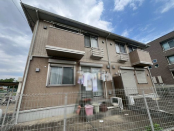 イルミナの画像