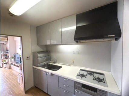 【わんぱーくこうちまで2分】高知市桟橋通6丁目アプリア桟橋　中古マンションのキッチン|キッチンです
