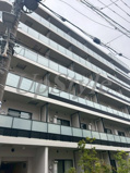 ディームス根岸の画像