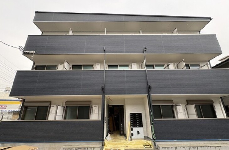 Ｃａｔ　Ｃｏｕｒｔ　Ｋｏｇａｎｅ