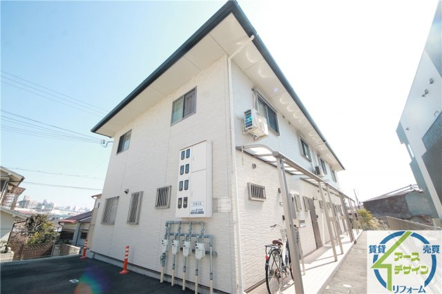 オレンジデコ・若林