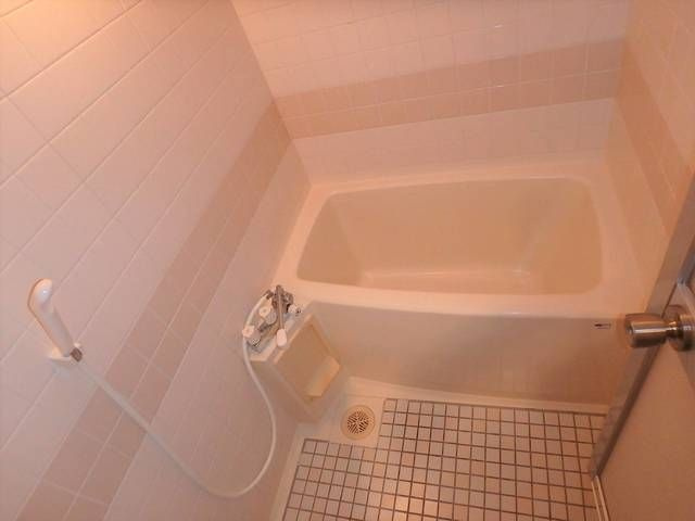 ボザールマンションの浴室