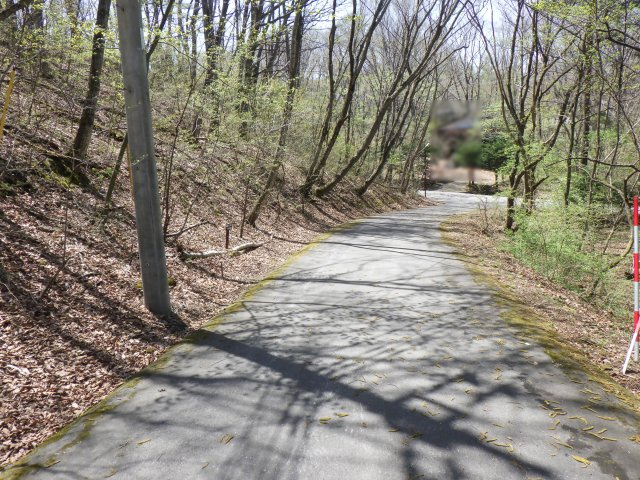 エンゼルフォレスト浅間ハイランド③の前面道路含む現地写真