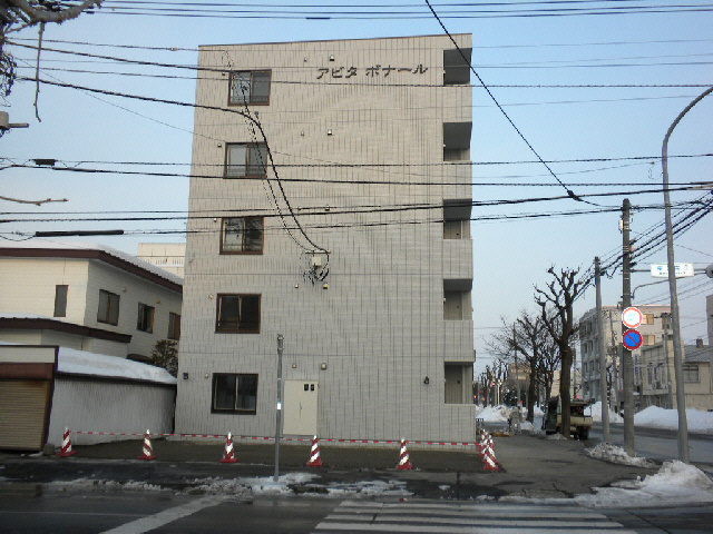 アビタボナールの外観