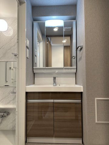 府中市矢崎町１丁目の賃貸マンションの洗面所