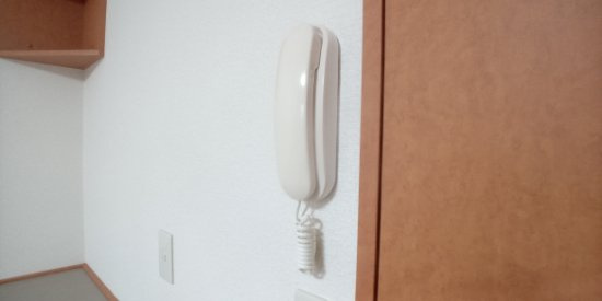 レオパレスＦＥＬＩＣＥのその他