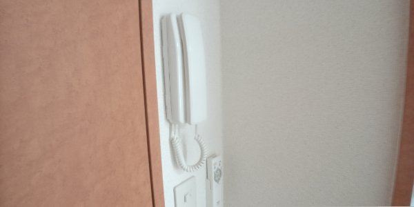 レオパレスＯＡＳＩＳのその他