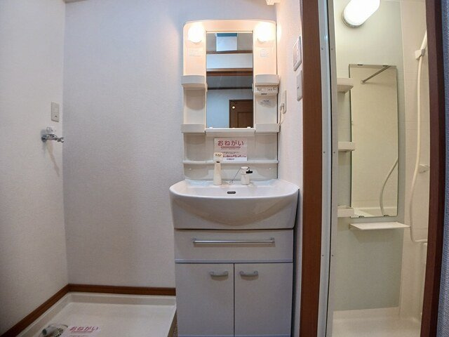 メゾン・カメリアの洗面所