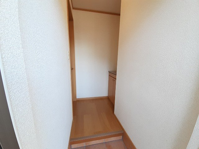 クリスマスローズⅢのその他
