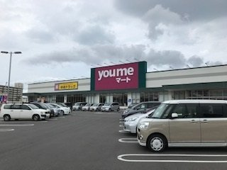 エール湯川Ｂの周辺|ゆめマートまで1000m