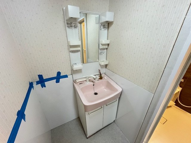 ディオハイツ金剛の独立洗面台