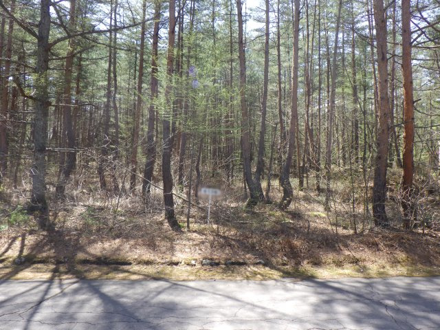 エンゼルフォレスト浅間高原③