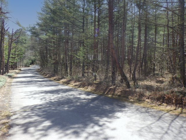 エンゼルフォレスト浅間高原③の前面道路含む現地写真
