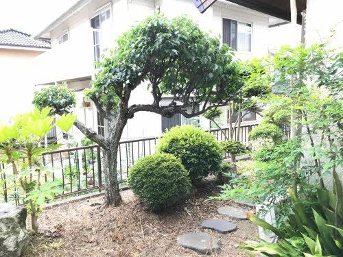 星和台２丁目の展望