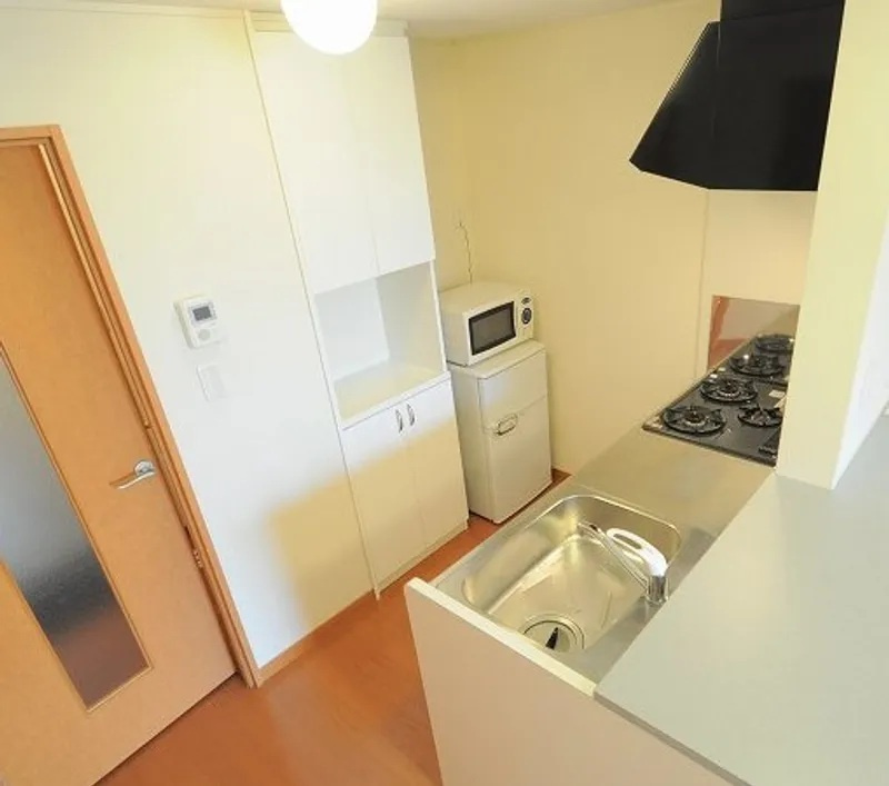 レオパレスアベニューⅡのその他