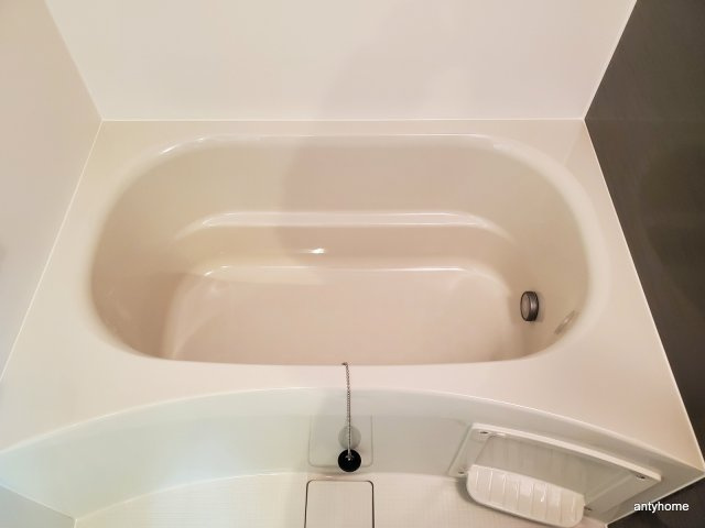 Amour Ville 江坂　仲介手数料無料の浴室