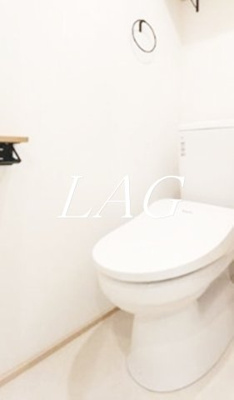 【トイレ】 | ダイアパレス御徒町第３ | トイレです。