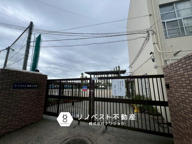 東大阪市稲田本町2丁目の周辺|楠根小学校まで徒歩約3分！大通りを渡らず通えるからお子様の登下校も安心です♪