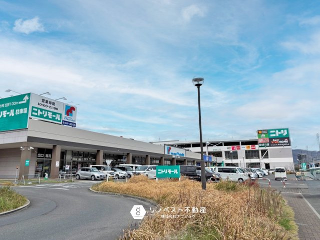 八戸ノ里ニュースカイハイツの周辺|スーパーや百均が入ったニトリモールがマンションのすぐ近くに！日用品はなんでも揃います♪