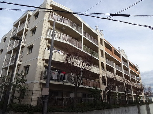 サンクタス・リビオ学園大和　花のみち