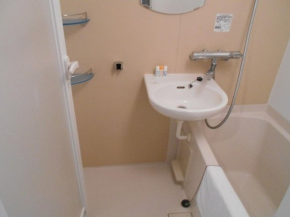 ルーブル大塚弐番館の浴室