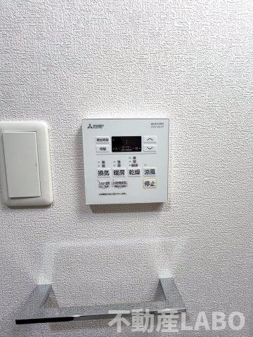 F asecia lasoのその他