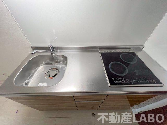 F asecia lasoのその他