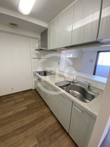 ファミール上町台パークサイド　中央小学校区のキッチン|ファミール上町台パークサイド　キッチン