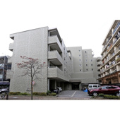 グレイス大森の画像