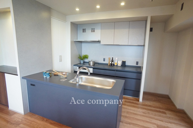 【キッチン】 | ザ・上本町タワー | 天板一体型でスッキリとした半対面式のセパレートキッチンです♪