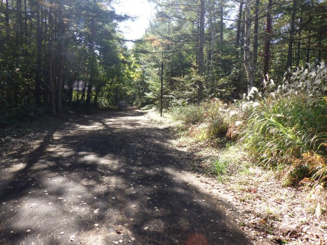 野反湖パークランド和光原①の前面道路含む現地写真
