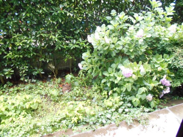 ラ・ポワール　Ａの庭