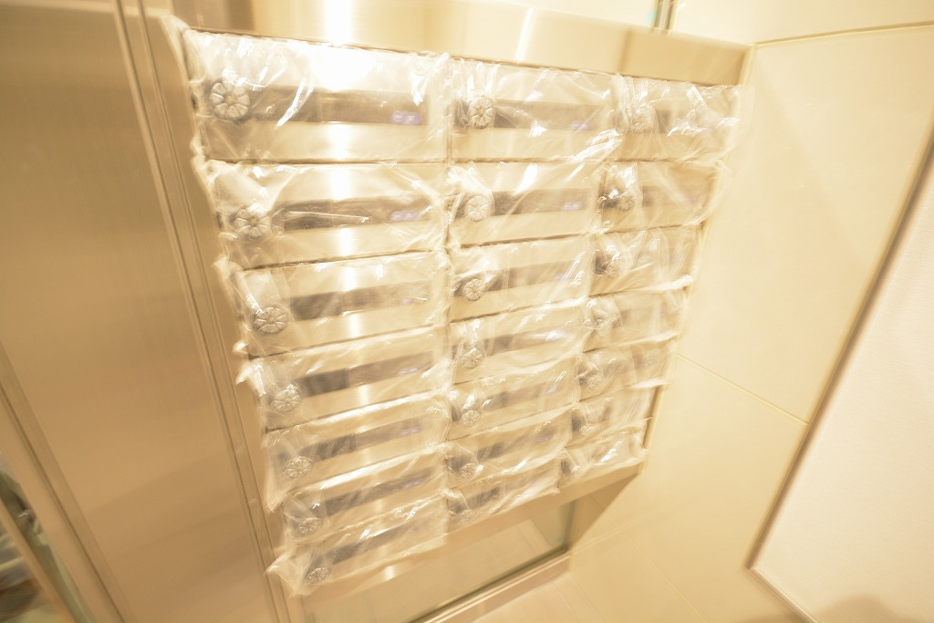 カーサラピスのその他共用部分|カーサラピス　メールボックス