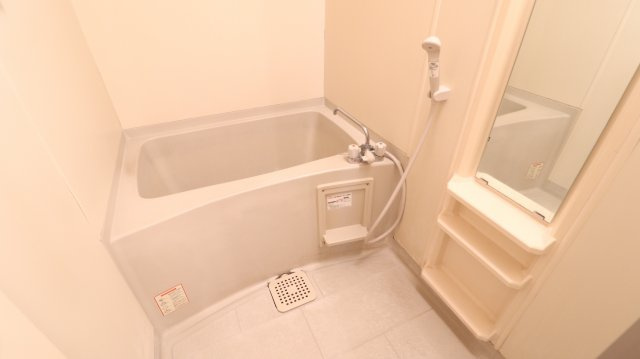 エクセルハイツ桃山の浴室