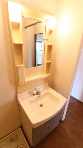 エクセルハイツ桃山の洗面所