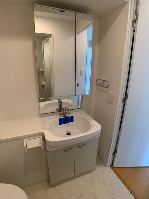 ライブコート草加の洗面所