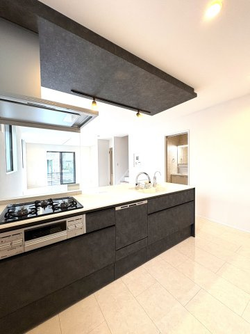 Coast Terrace Living — 東海岸南のキッチン