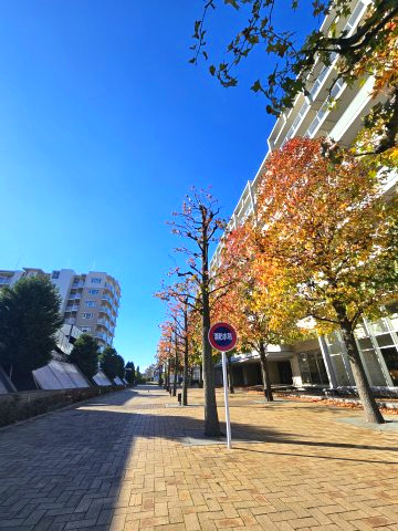 D’グラフォートレイクタウンⅡ棟D館