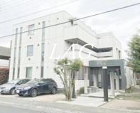 ＫＩＲＩＥ　ＭＡＩＳＯＮ　国立の画像