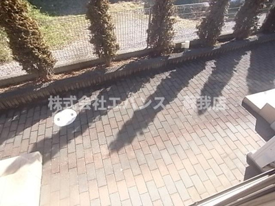  | アーリーガーデン