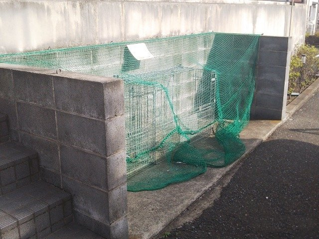 レオパレスブルースカイのその他