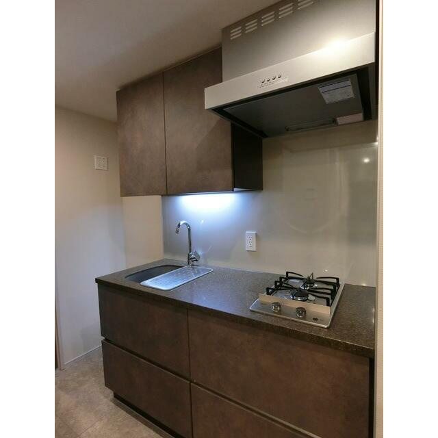 ザ・パークハビオ高円寺レジデンス(ザ・パークハビオコウエンジレジ)のキッチン