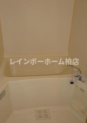 仲介手数料（賃料の1.10ヵ月）の50％OFF対象物件！の浴室